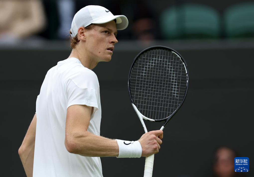 维罗纳防线 维罗纳防线