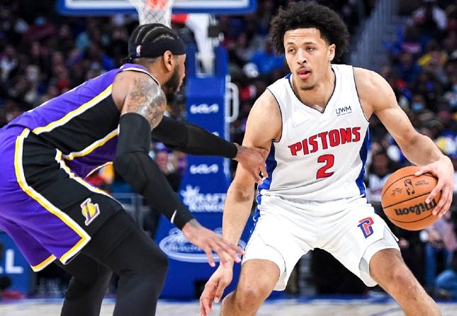 灰熊带来新 灰熊带来新