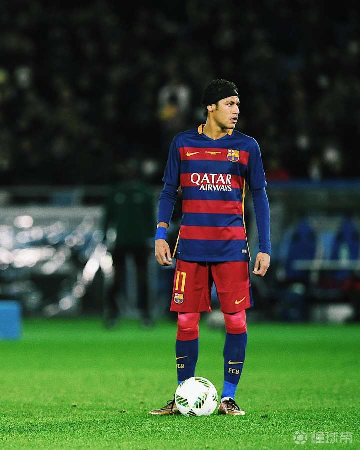 强化或精简 强化或精简